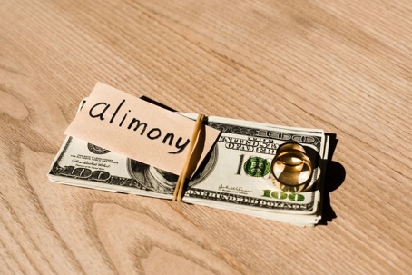 alimony and money